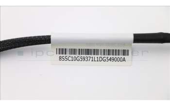 Lenovo 00FC229 CABLE mini-SAS HD to 2xSATA WY