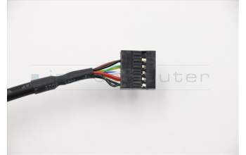 Lenovo CABLE Fru 200mm Rear USB2 LP cable für Lenovo S500 Desktop (10HS)