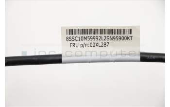 Lenovo CABLE Fru 200mm Rear USB2 LP cable für Lenovo ThinkCentre M900x (10LX/10LY/10M6)
