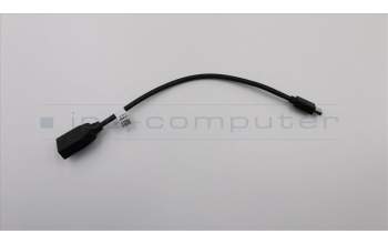 Lenovo 00XL360 KabelFru265mm minDisplayport to Displayport cable