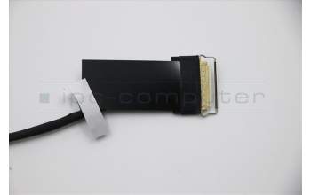 Lenovo 02DM425 CABLE FRU Kamerakabel AMD LCD IR Cable