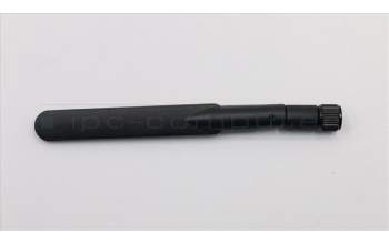 Lenovo 03T7203 KabelDual-band dipole antenna 5GHZ