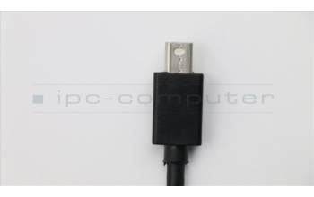 Lenovo CABLE_BO FRU FOR MINIDisplayport TO Displayport CABLE für Lenovo ThinkPad P70 (20ES/20ER)
