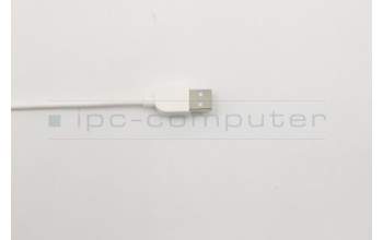 Lenovo 25209159 DT_KYB Sunrex EKB-10YA(SP) W-Silk USB KB