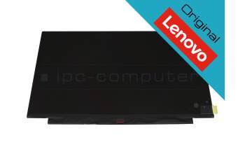 Original Lenovo TN Display HD matt 60Hz für Lenovo ThinkPad X390 (20Q0/20Q1)