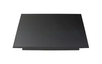 IPS Display QHD matt 165Hz für Acer Predator Helios 300 (PH317-55)