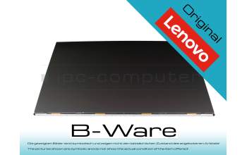 DY057R 100Hz IPS Display (1920x1080) matt B-Ware