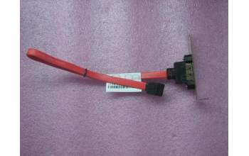 Lenovo CABLE FRU eSATA Cab für Lenovo ThinkCentre M900x (10LX/10LY/10M6)