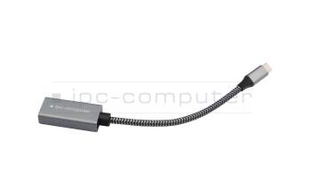 IPC-Computer USBC26 USB-C zu DP Adapter