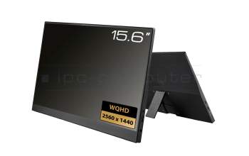 Portabler Monitor 15.6 WQHD USB-C/HDMI für Acer Swift Go 14 (SFG14-71)