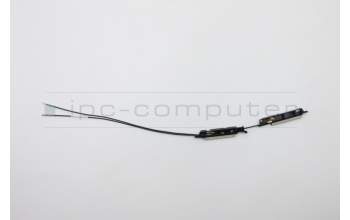 Lenovo 5A30S36054 Antenne Antenne W 81TE