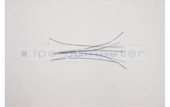 Lenovo 5A30S36058 Antenne Antenne C81XE MMWAVE CABLES