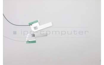 Lenovo 5A30S36066 Antenna H 82KN MAIN+AUX