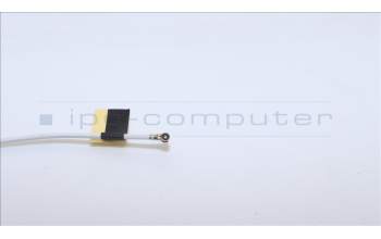 Lenovo 5A30S36090 Antenne Antenne WT 82XK MAIN&AUX