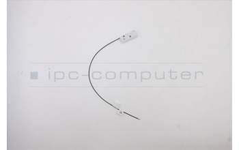 Lenovo 5A30W89194 Antenne Lx T550Q main Antenne