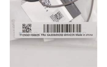 Lenovo 5A30W89250 Antenne Fru,AIO360_27 ANT_Awan