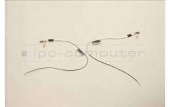 Lenovo 5A30Z88186 Antenne FRU AMPHE WLAN T14G3