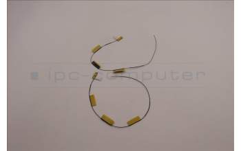 Lenovo 5A30Z88211 Antenne FRU Ant ACCY KITS WLAN PC JT6C1