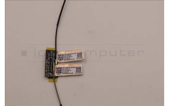 Lenovo 5A30Z88211 Antenne FRU Ant ACCY KITS WLAN PC JT6C1