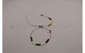 Lenovo 5A30Z88211 Antenne FRU Ant ACCY KITS WLAN PC JT6C1