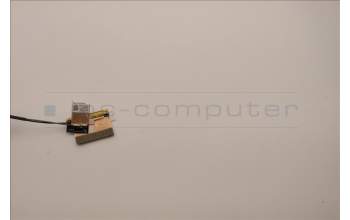 Lenovo 5A30Z88215 Antenne ACCY KITS ANT WL+MIMO AWAN JP610