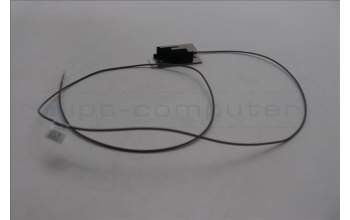 Lenovo 5A31F27660 Fru,Gaming T580 Aux Antenna_Lux