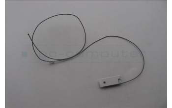 Lenovo 5A31F27660 Fru,Gaming T580 Aux Antenna_Lux