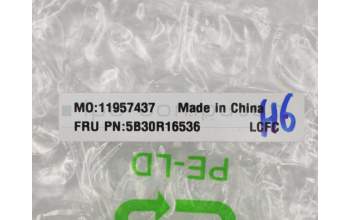 Lenovo 5B30R16536 Laufwerksblende Bezel L81DC MN BU