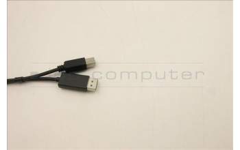 Lenovo 5C10U58452 KabelFru 430mm Displayport&USB3.0 CABLE_TCO8.0
