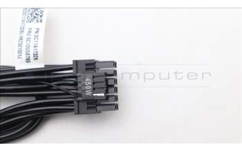 Lenovo 5C10U58769 KabelFru16p to Dual 8p 550mm