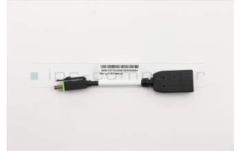 Lenovo 5C10V05978 KabelFRU MDisplayport To Displayport Dongle
