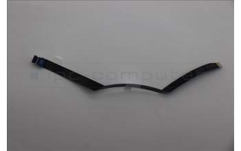 Lenovo 5C11P26293 CABLE FRU Flachbandkabel MSF50 8P POWER/B