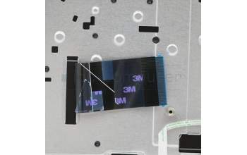 Lenovo 5CB0U42383 Tastatur inkl. Topcase C81N4 PLBLU FPNBL GER