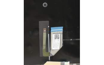 Lenovo 5CB0U44270 Tastatur inkl. Topcase ASM_US INTE L81Q9_MC