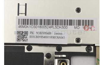 Lenovo 5CB0Y85469 Tastatur inkl. Topcase ASM_RU NBL NFP W81X1GY