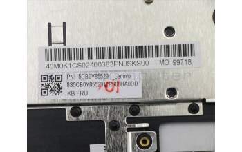 Lenovo 5CB0Y85529 Tastatur inkl. Topcase ASM_CF-E NBL FP W81X1GY