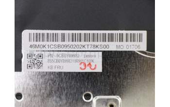 Lenovo 5CB0Y89982 Tastatur inkl. Topcase ASM_ND BL FP W81X3PG