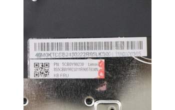 Lenovo 5CB0Y99230 Tastatur inkl. Topcase ASM_FR BL FP W81X3GY