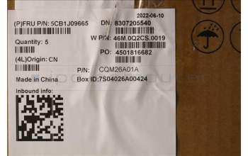 Lenovo 5CB1J09665 Tastatur inkl. Topcase spanisch W 21AS AG