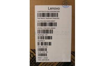 Lenovo 5CB1J38404 Tastatur inkl. Topcase ASM_EURO ENG H D VGA