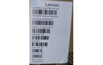 Lenovo 5CB1L39171 C-Abdeckung mit Tastatur, Spanisch, arktisgrau, Ohne_Fingerabdruckscanner