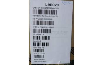 Lenovo 5CB1L50388 C-Abdeckung mit Tastatur, Schweiz, arktisgrau, Fingerabdruckleser