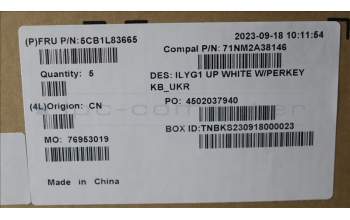 Lenovo 5CB1L83665 C-Cover with keyboard, Ukraine, White, RGB Backlight, US