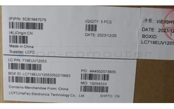 Lenovo 5CB1M47079 C-Cover with keyboard, French, Arctic Grey, Non-Backlight, US