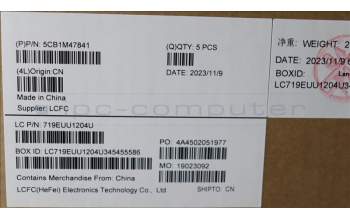 Lenovo 5CB1M47841 C-Cover with keyboard, Switzerland, Arctic Grey, Fingerprint, UK