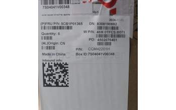Lenovo 5CB1P01365 Tastatur inkl. Topcase ASM_EURO ENG W21KHAGBLH