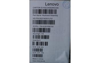 Lenovo 5CB1P85700 C-Cover with keyboard, French, Luna Grey, FingerPrint, US