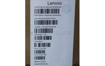 Lenovo 5CB1R61524 C-Cover with keyboard, German, Luna Grey, FingerPrint, Non_Puresight Logo
