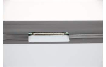 Lenovo 5D10W33972 DISPLAY AUO 19.5W TN M195RTN01.0LEF