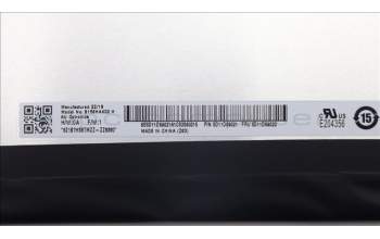 Lenovo 5D11D69020 DISPLAY FRU AU B156HAK02.H 0A FHDI AG